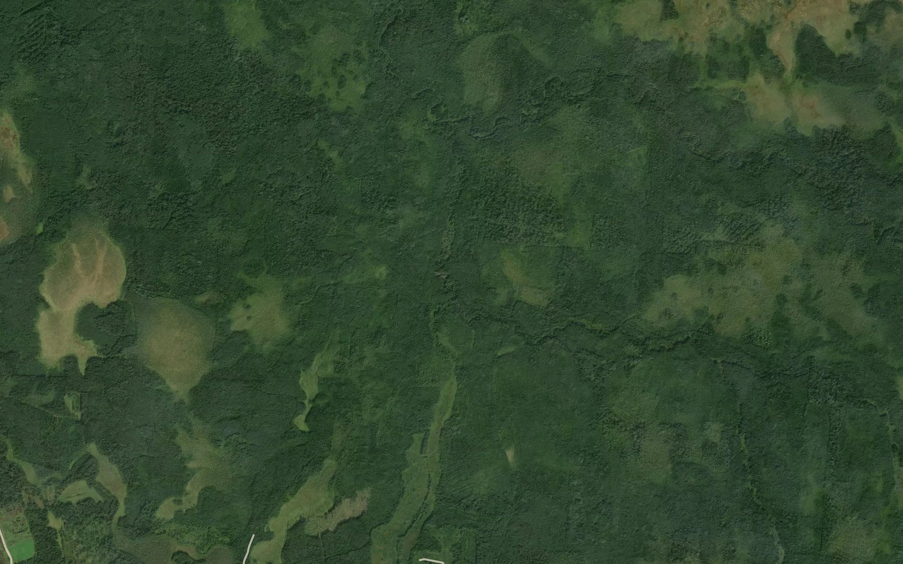 Satellite map of the Vaskil'