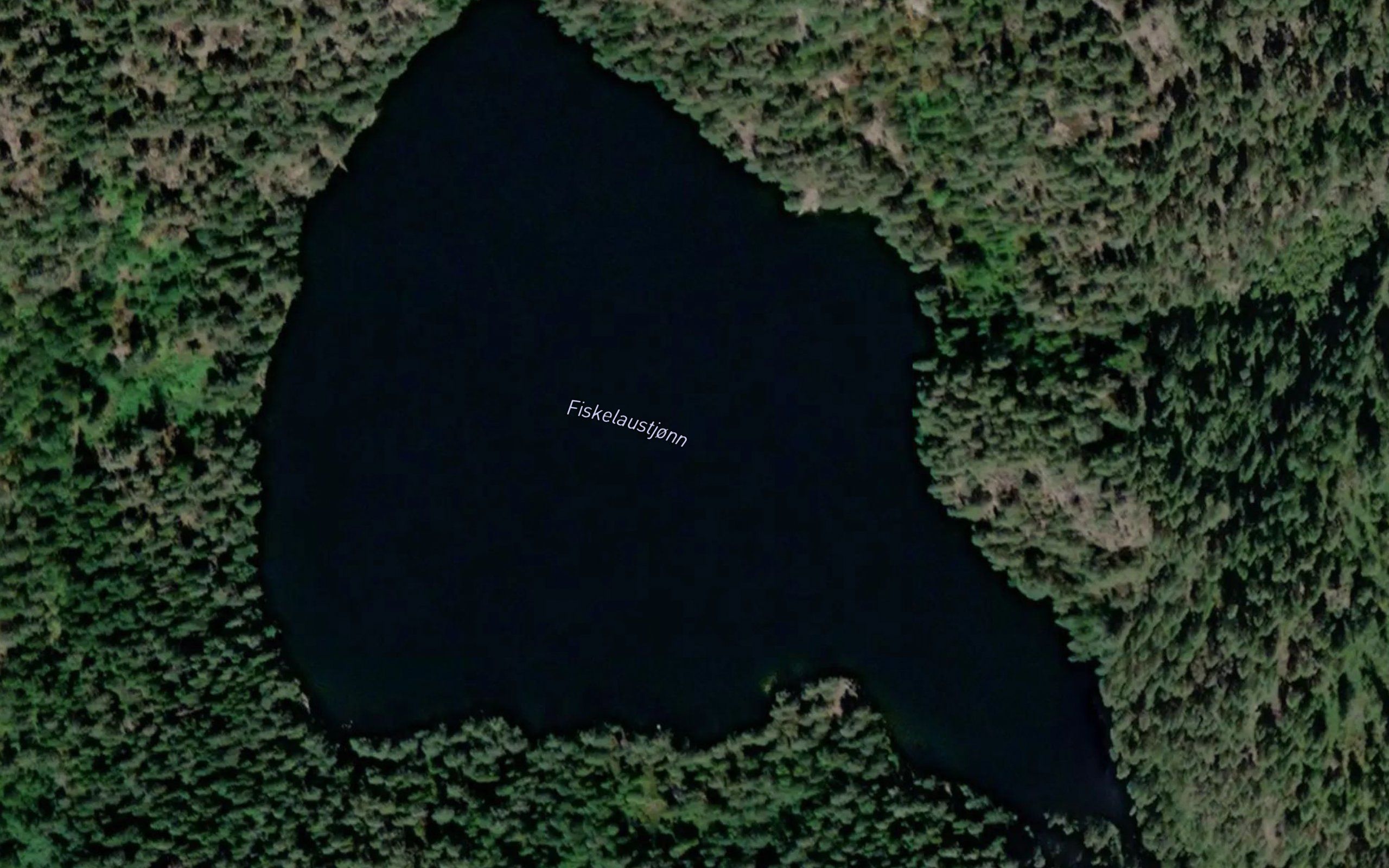 Fiskelaustjonn