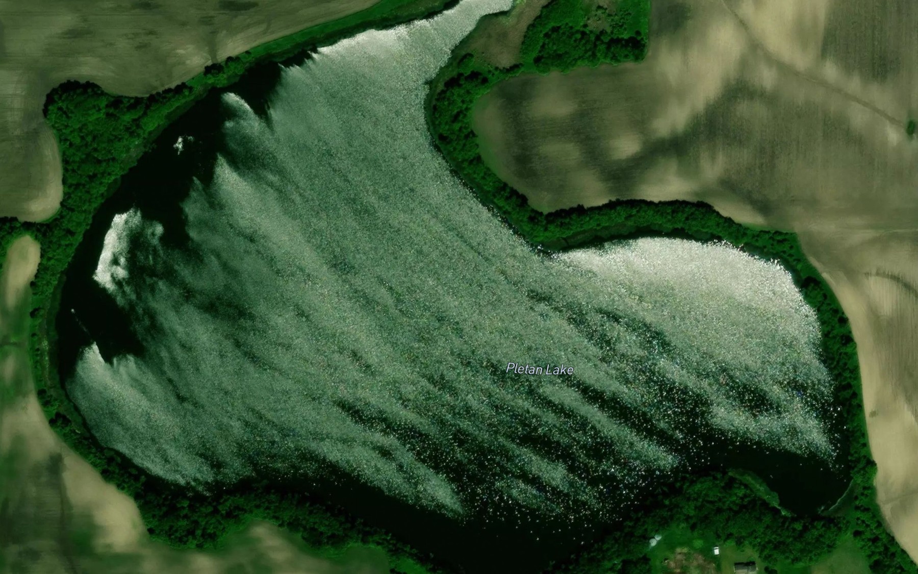 Satellite map of the Pletan Lake