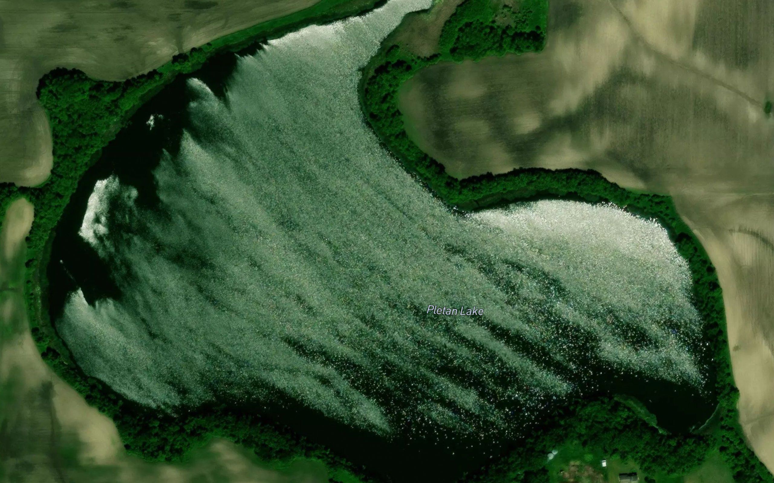 Pletan Lake