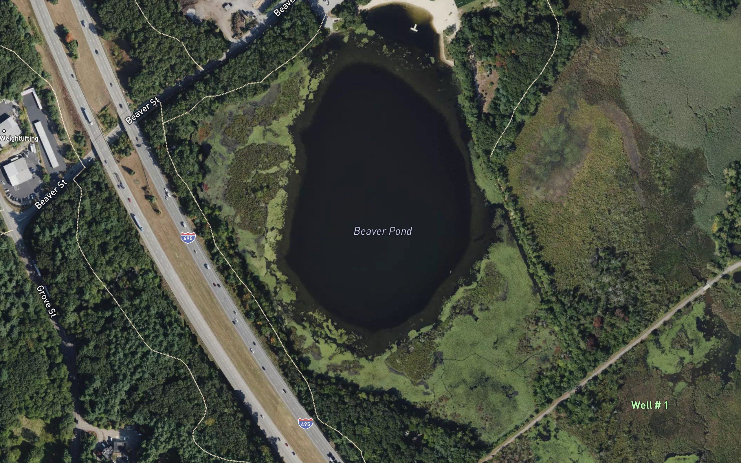 Beaver Pond
