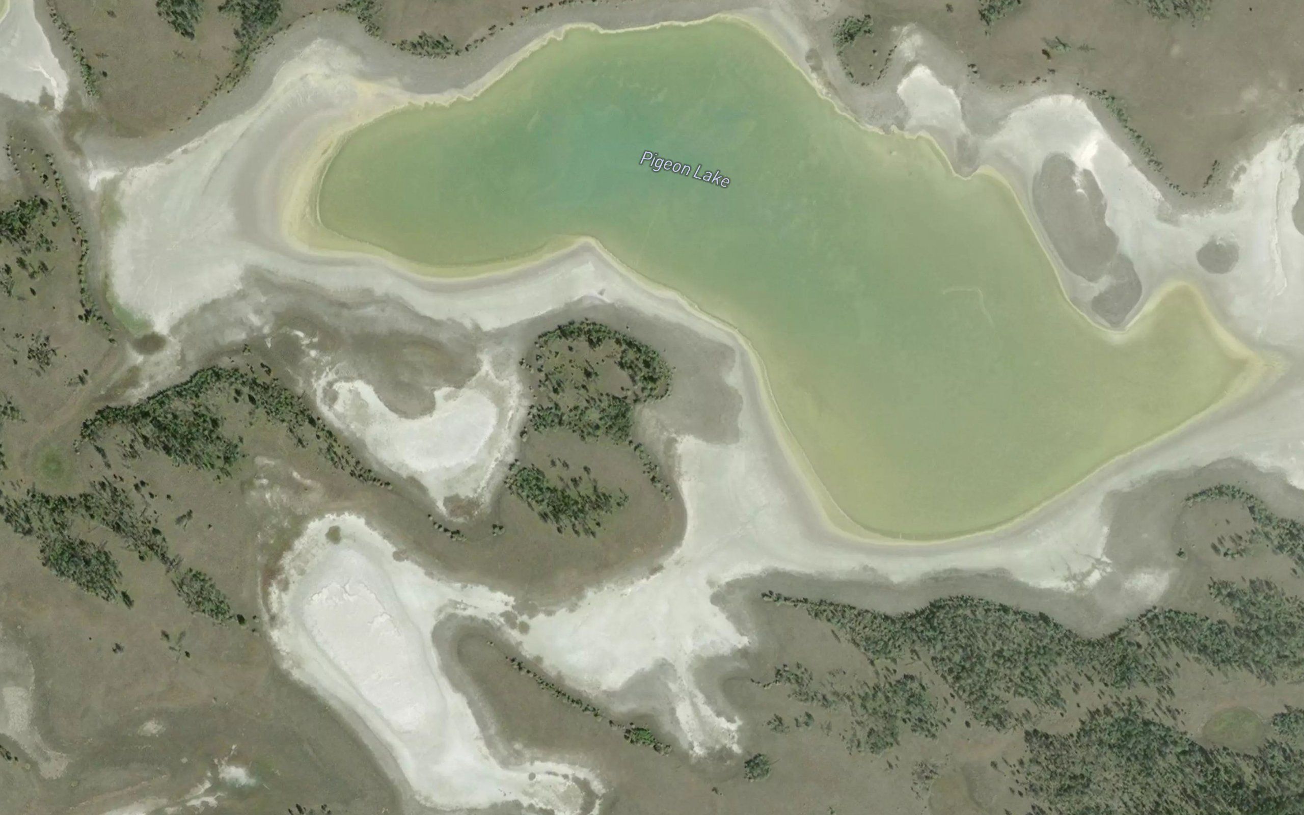 Pigeon Lake