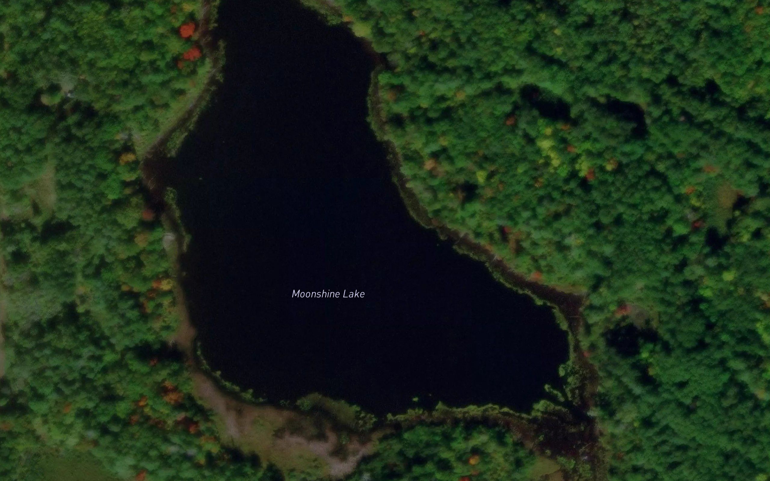 Moonshine Lake