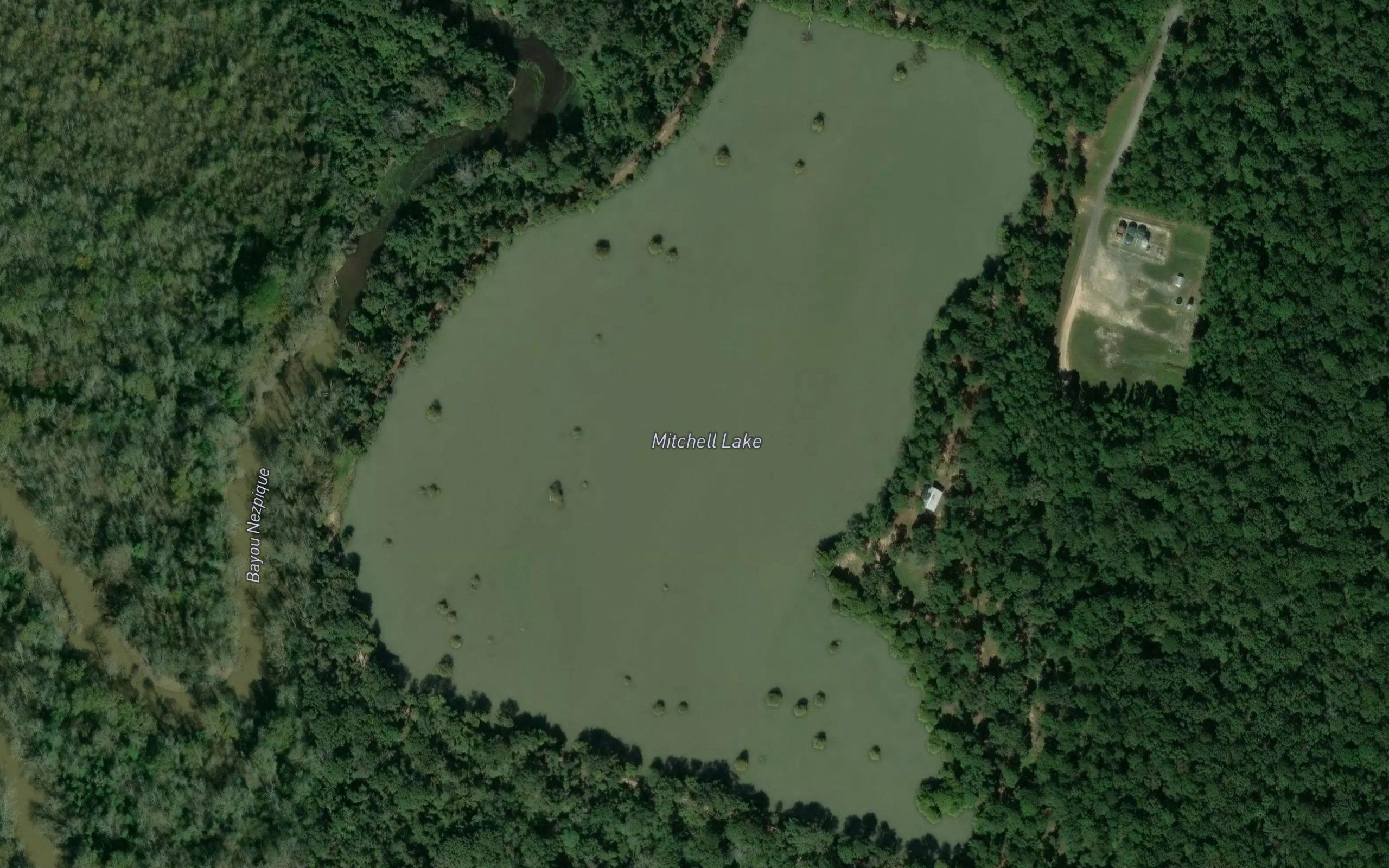 Mitchell Lake