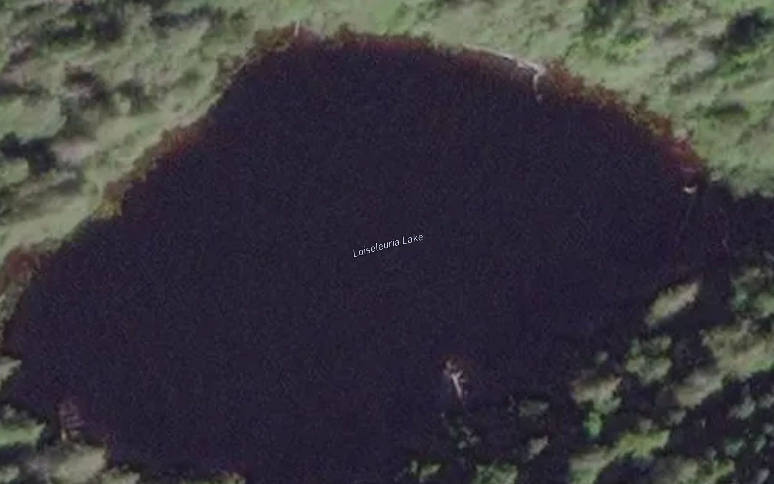 Loiseleuria Lake