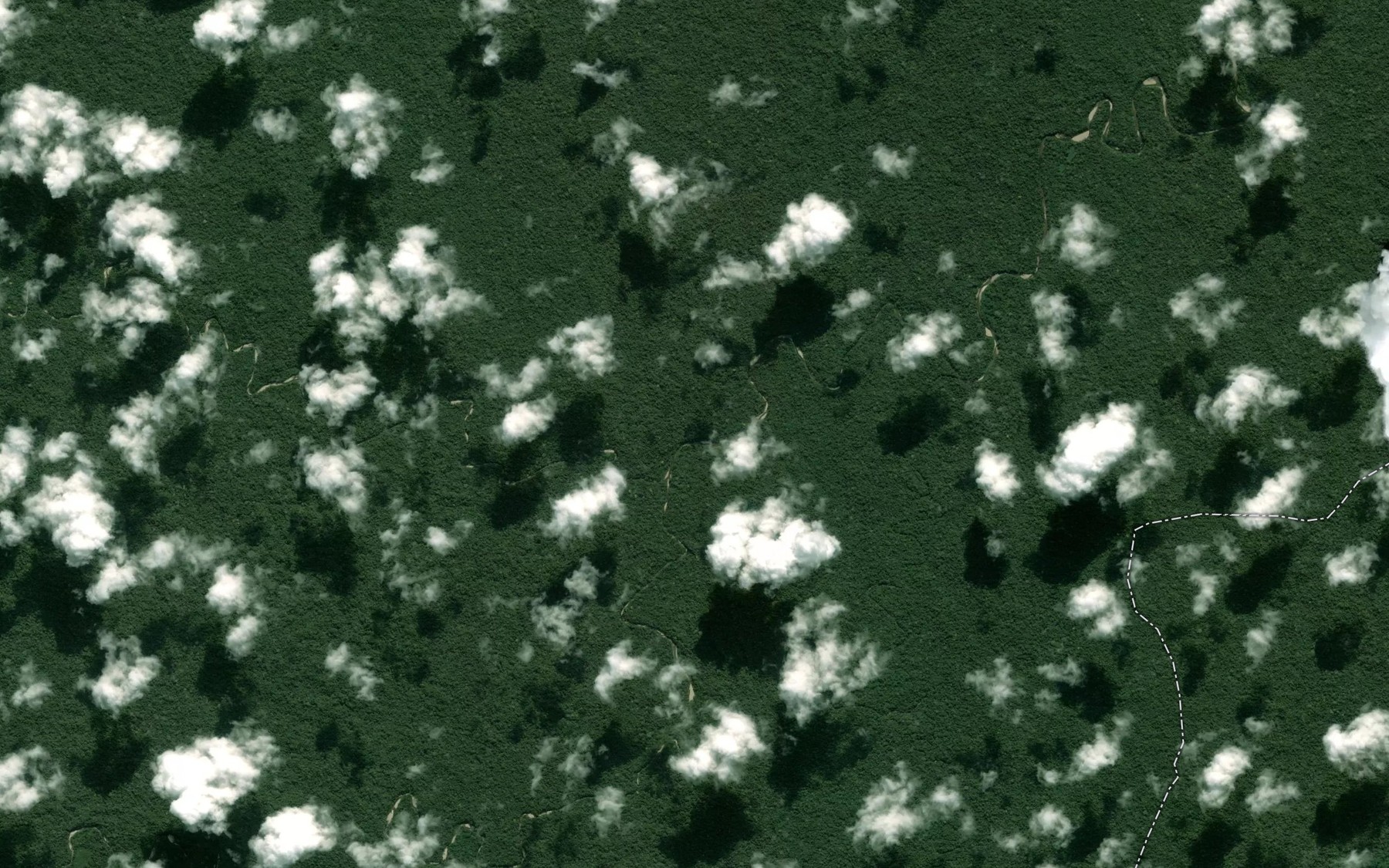 Satellite map of the Rio Nova