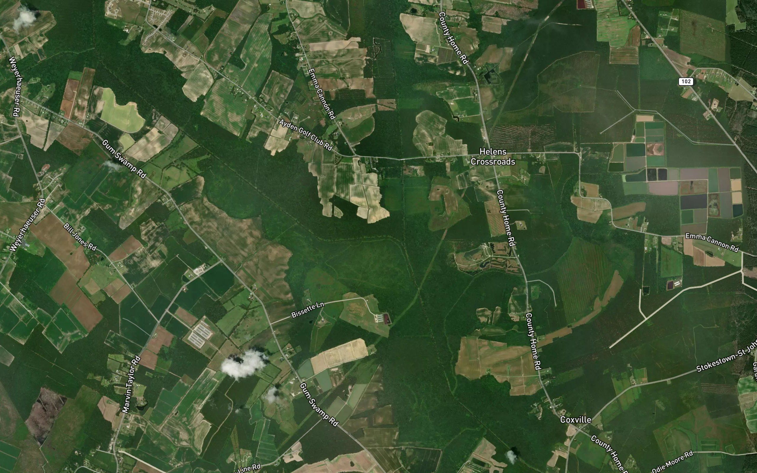 Fork Swamp
