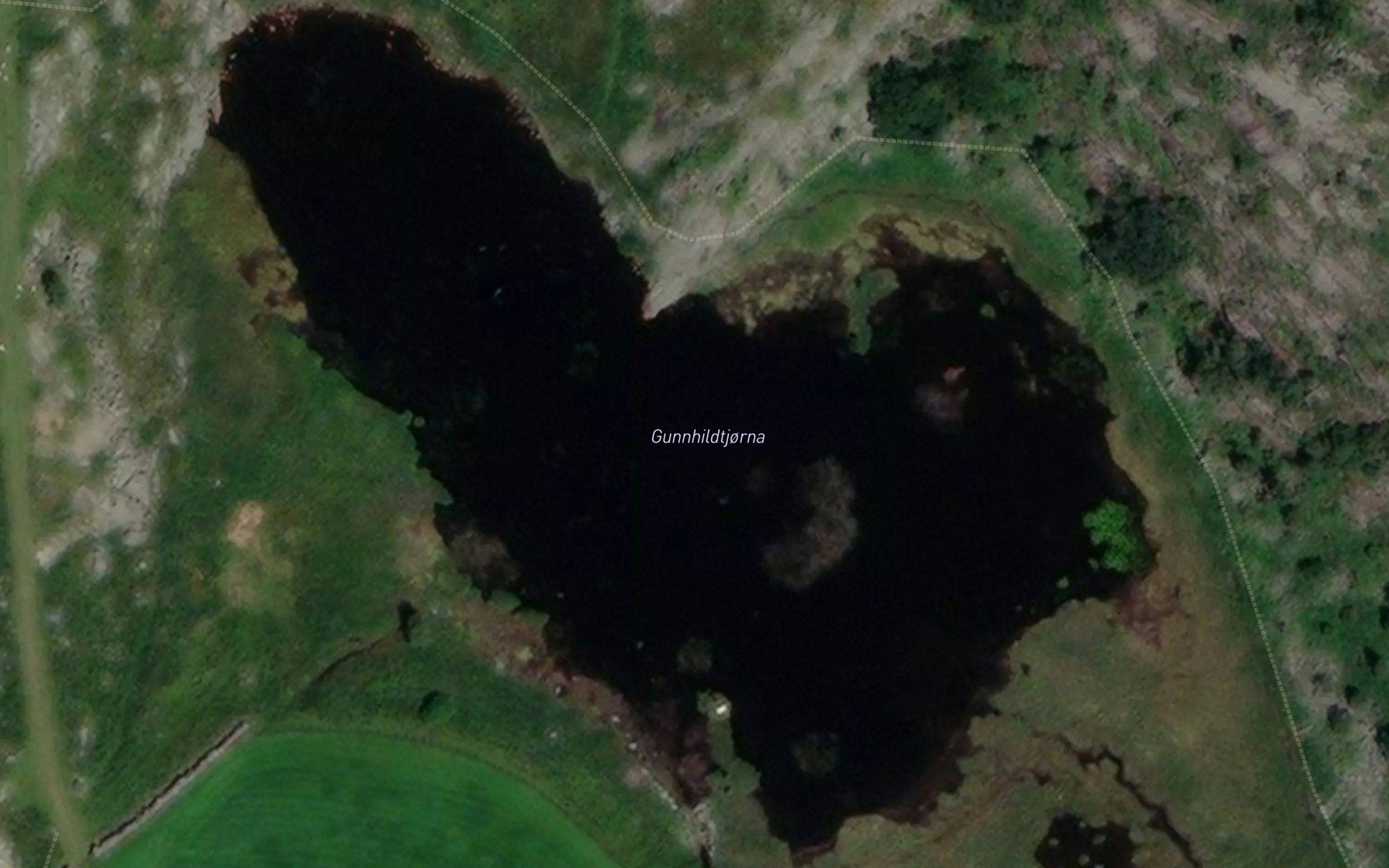Goneltjorna