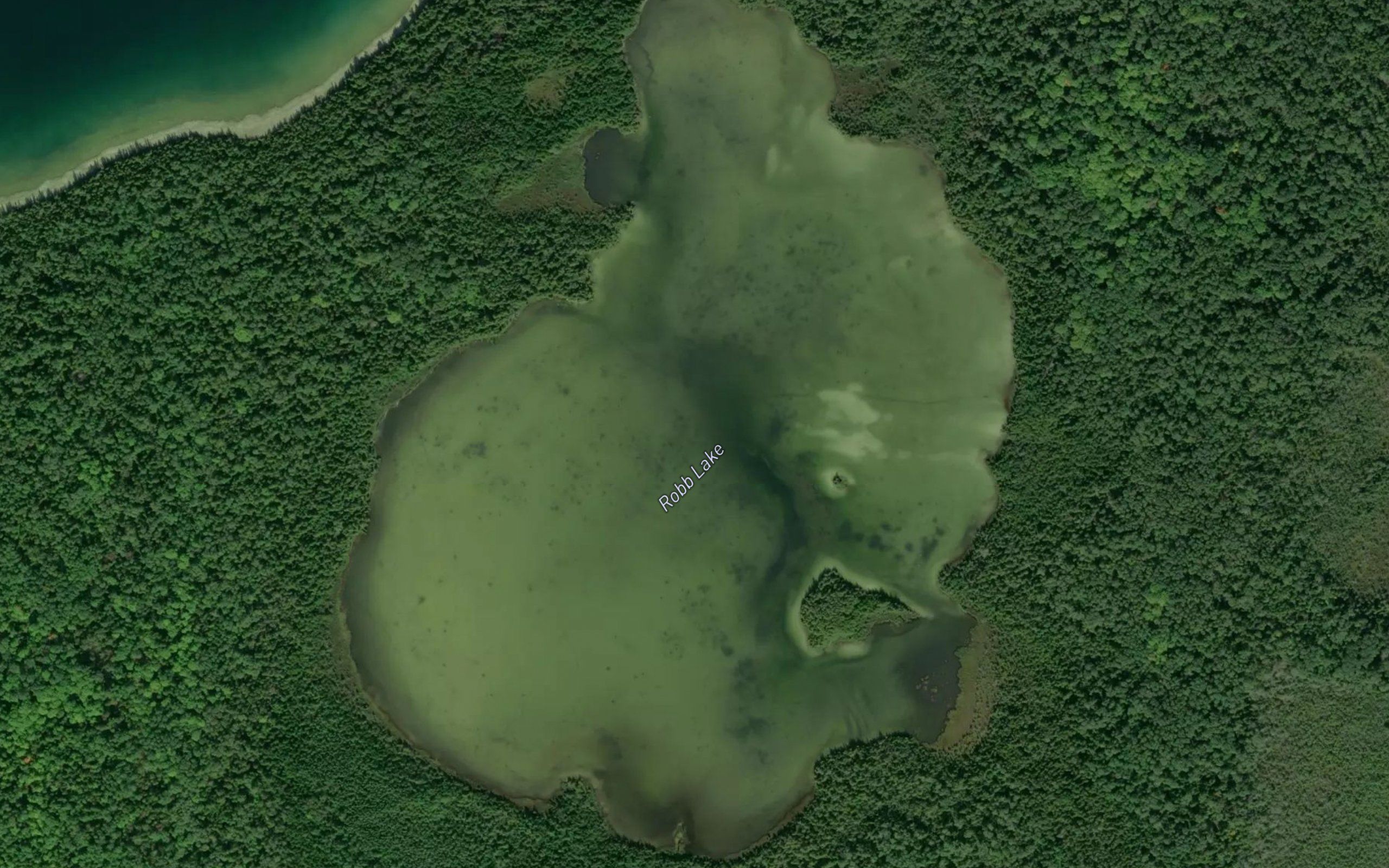 Robb Lake