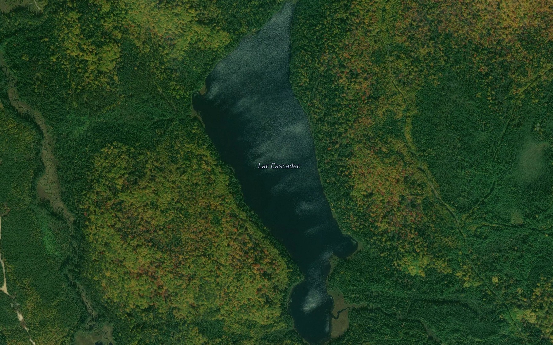 Satellite map of the Lac Cascadec