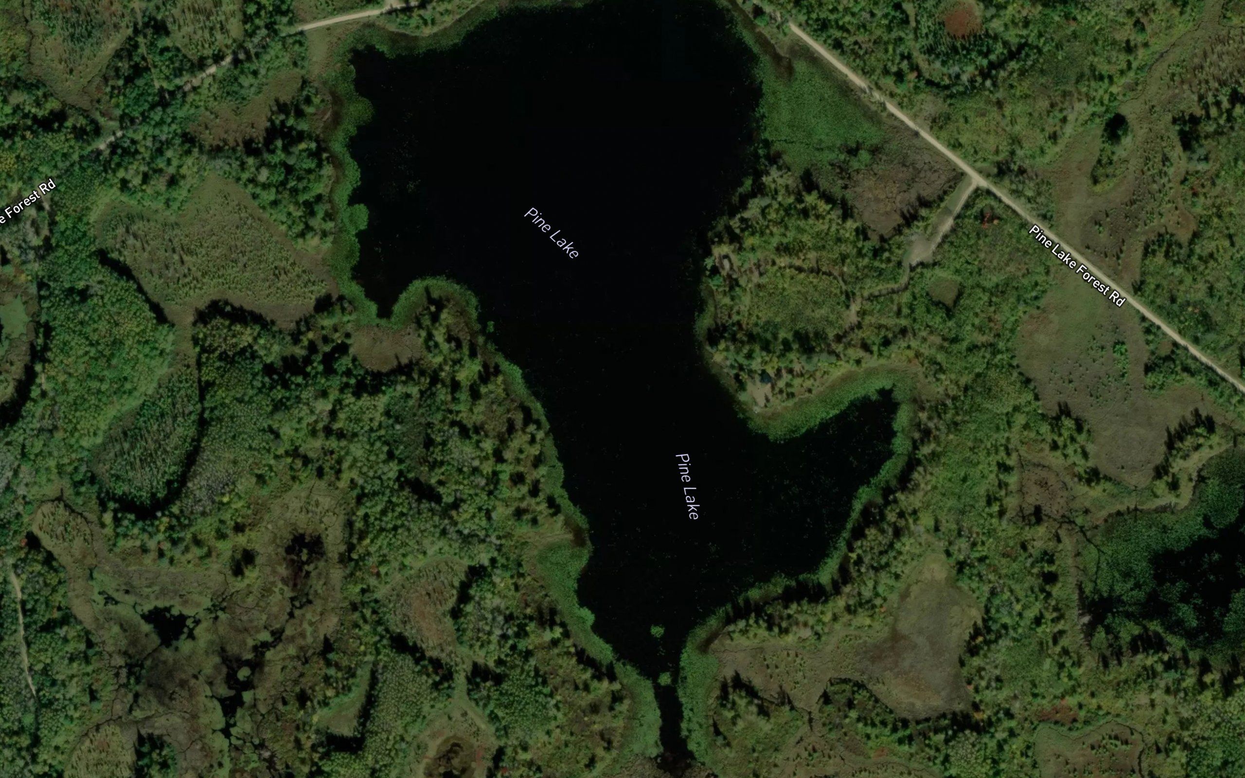 Pine Lake