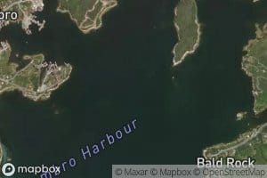 Cronie Reef