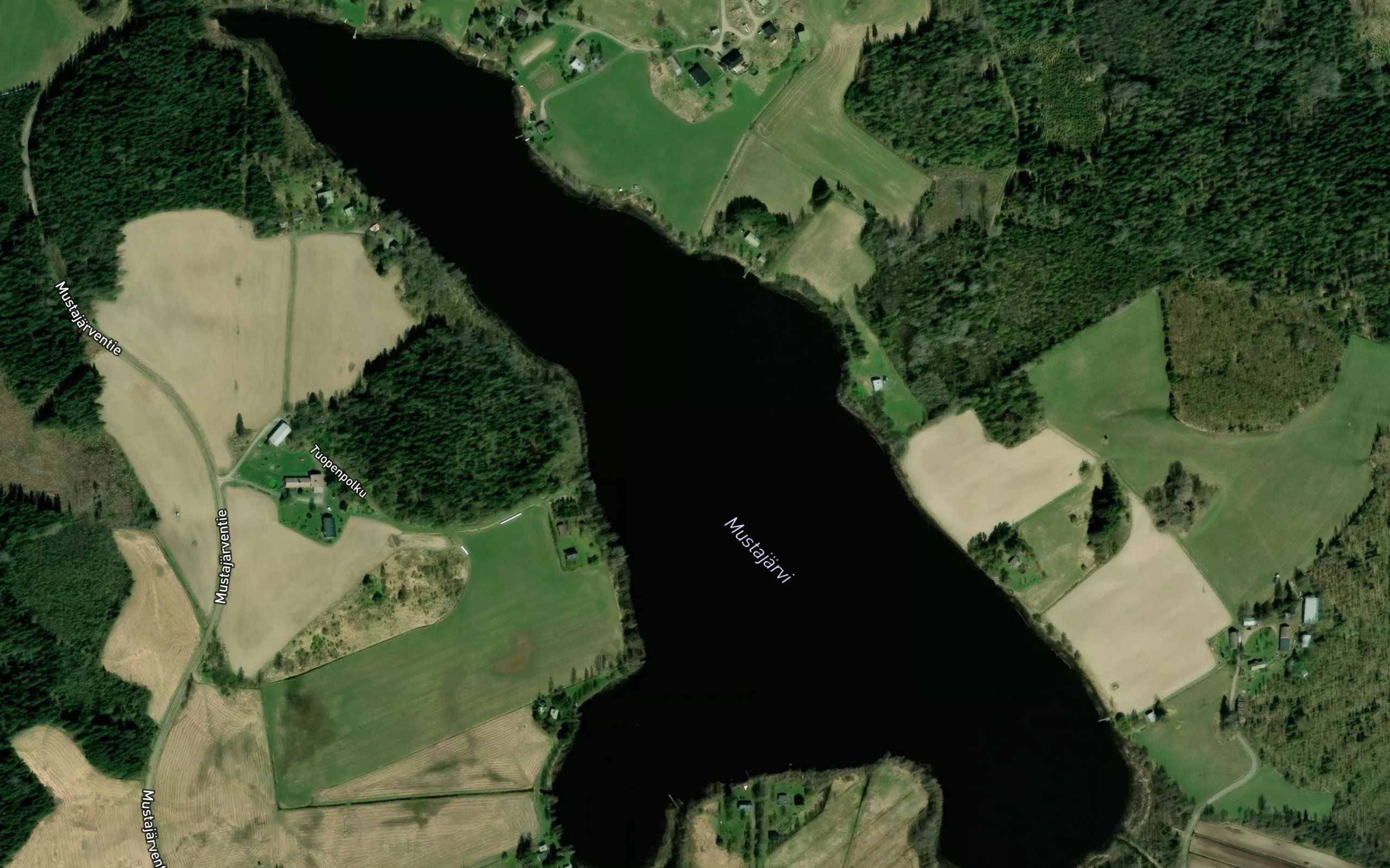 Mustajarvi