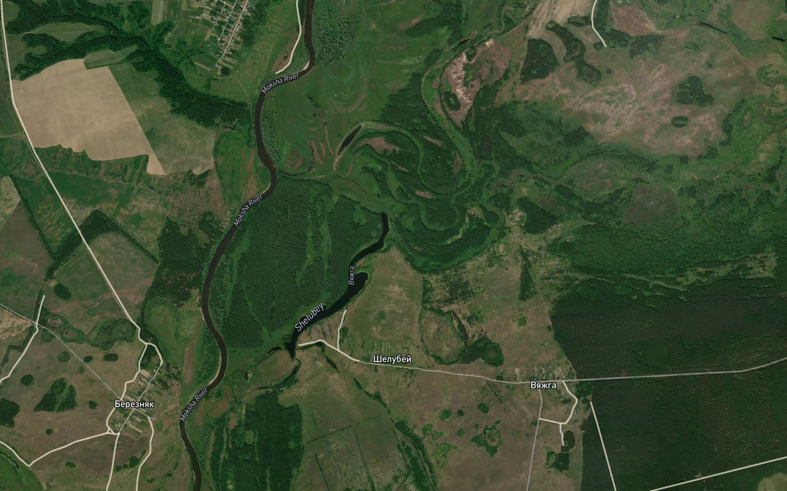 Vyazhga
