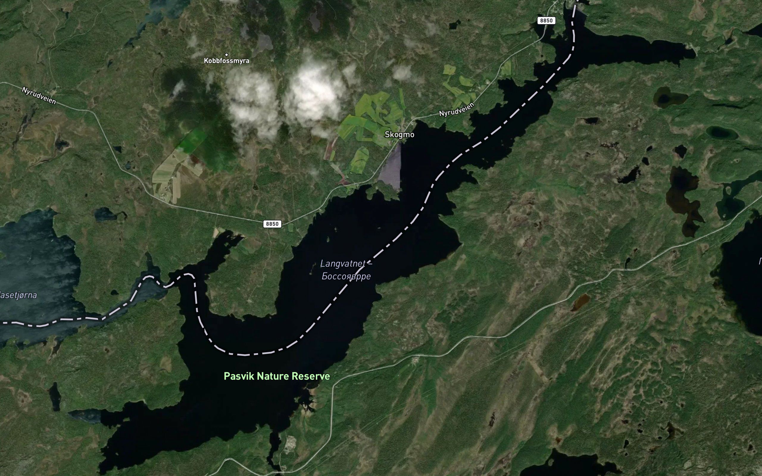 Krokvika