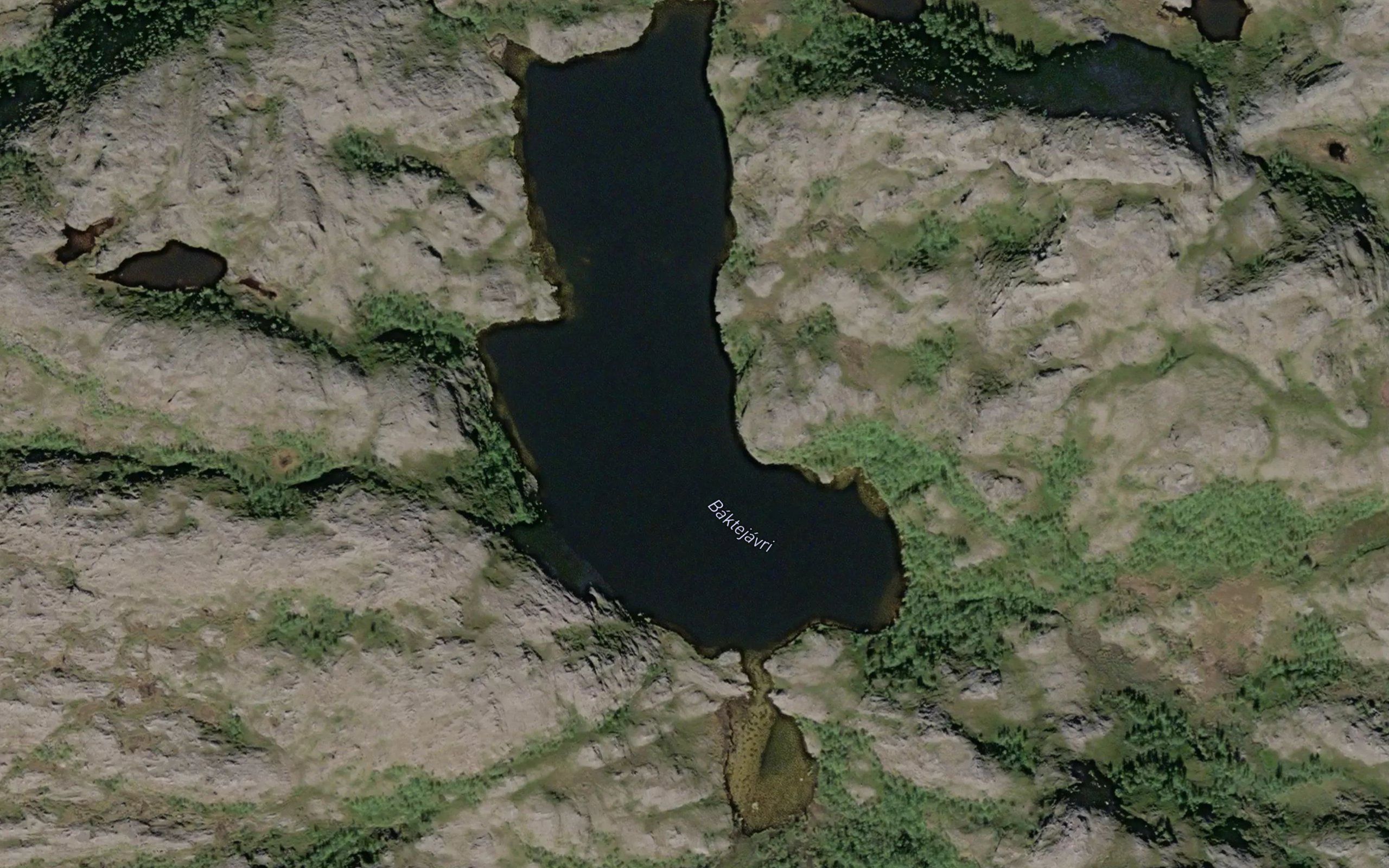 Baktejavri