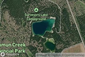 Surveyors Lake