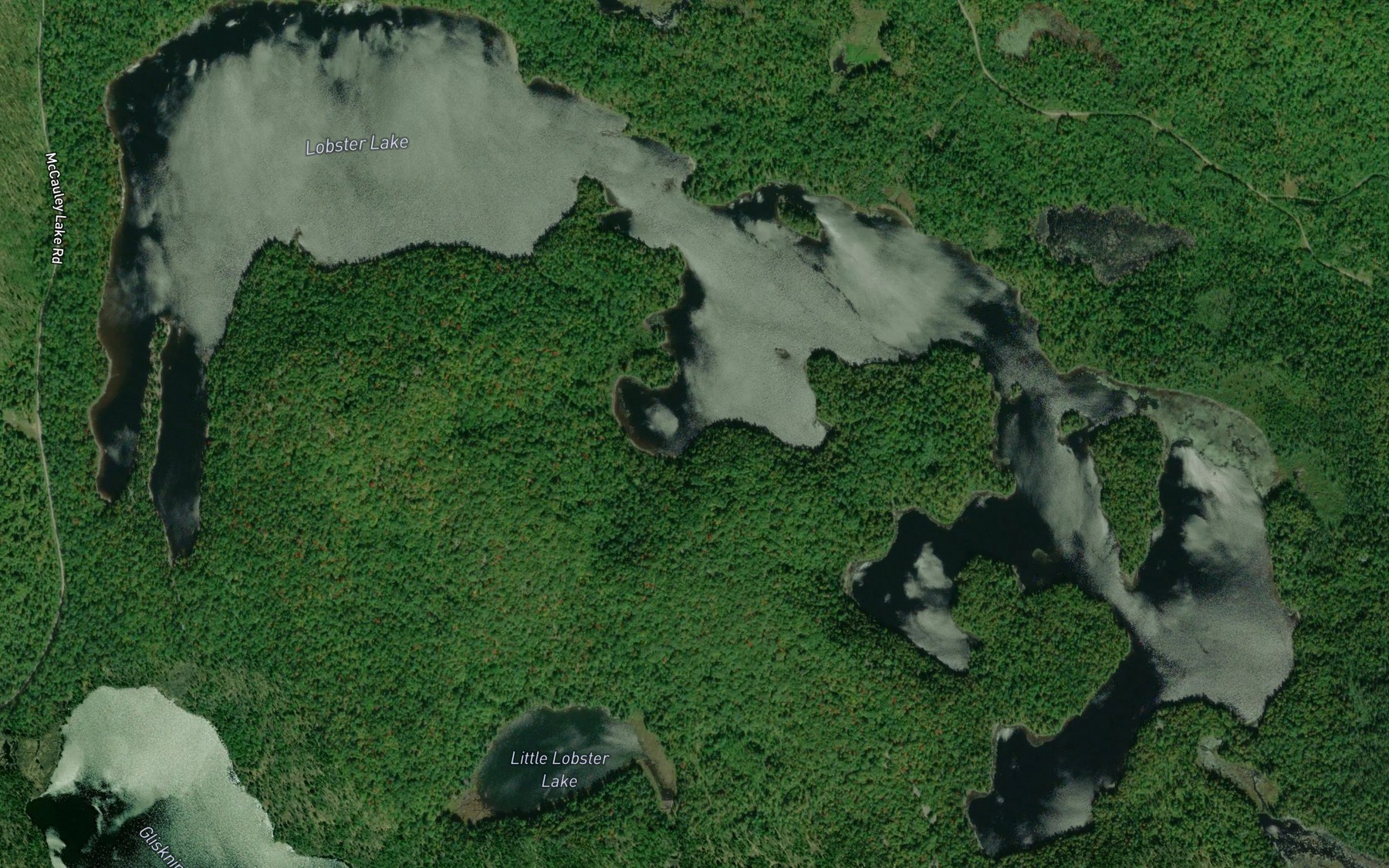 Satellite map of the Lobster Lake