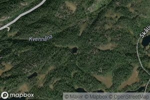 Oksetjorn