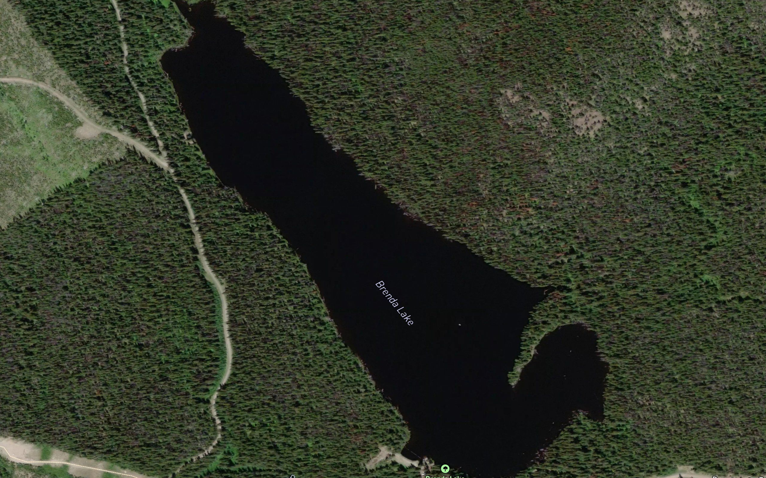 Brenda Lake