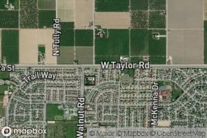 Upper Lateral Number Three