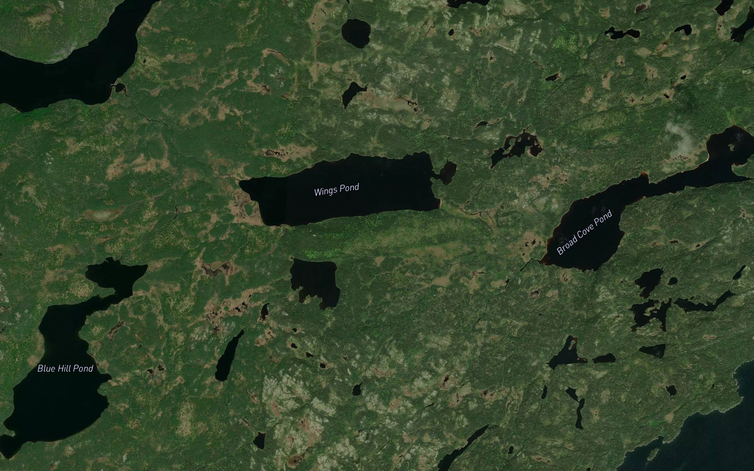 Wings Pond