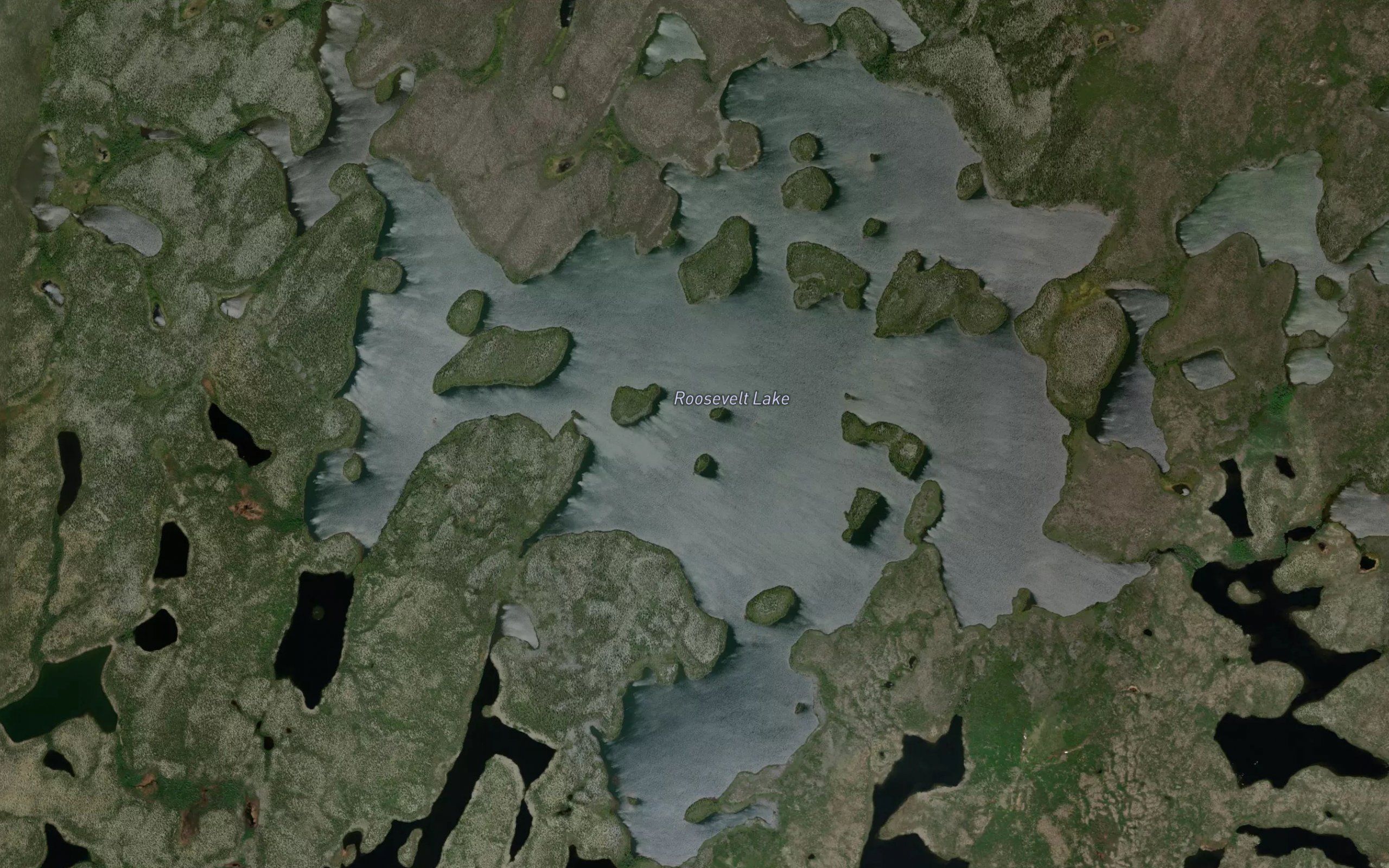 Roosevelt Lake