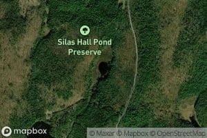 Silas Hall Pond