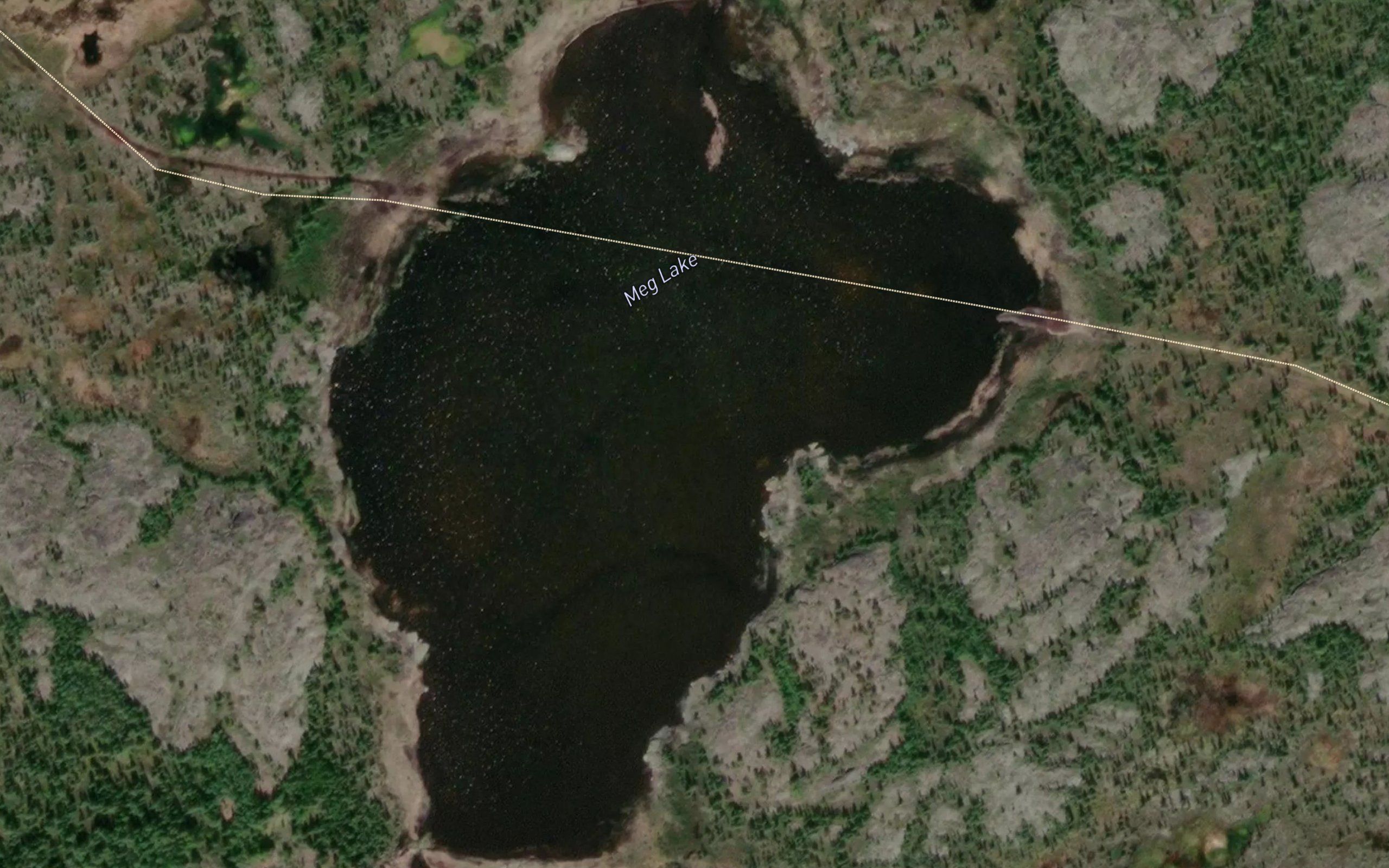 Meg Lake