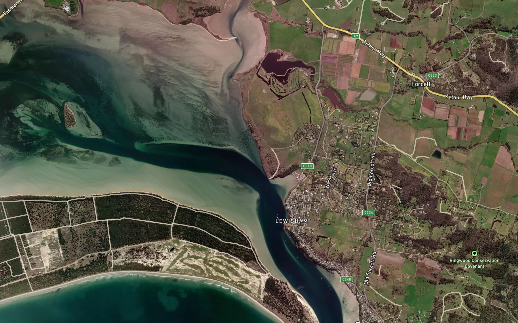 Satellite map of the Jones Bay