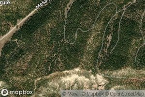 Sandy Deer Spring