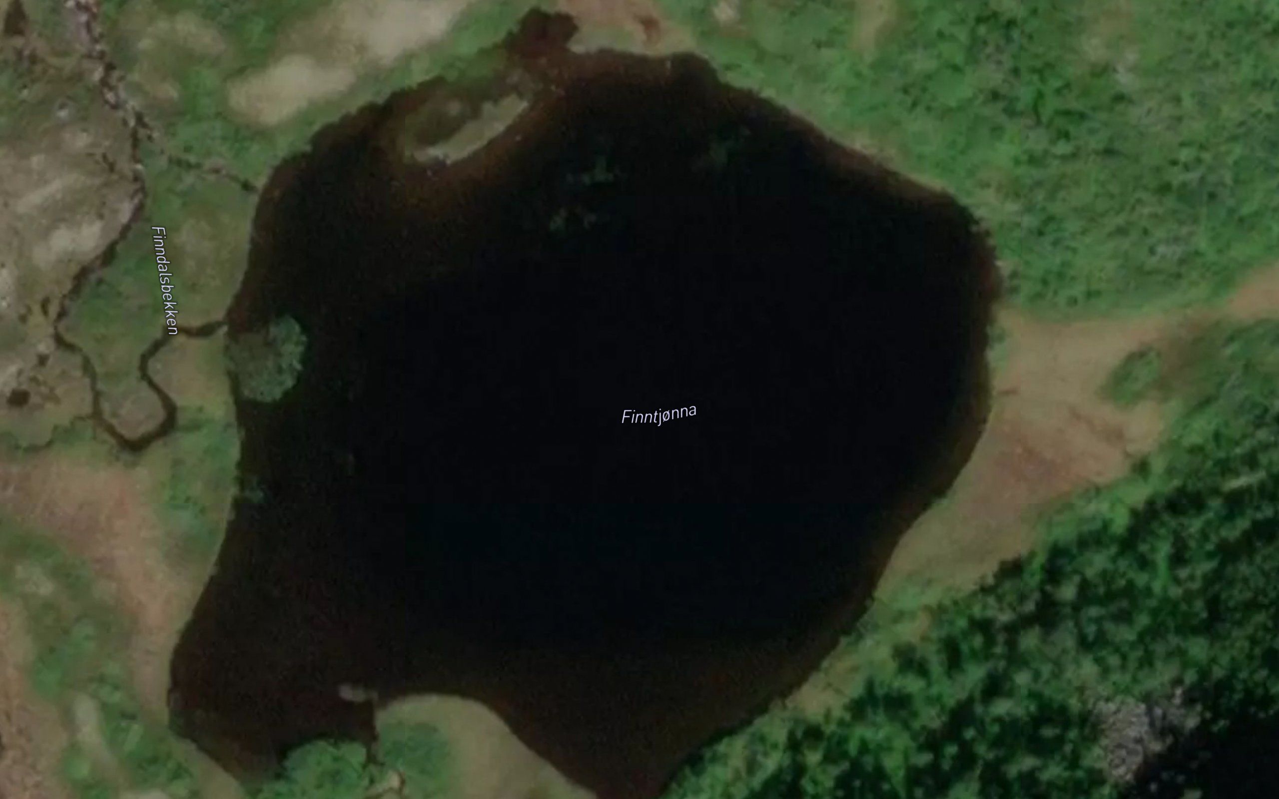 Finntjorna