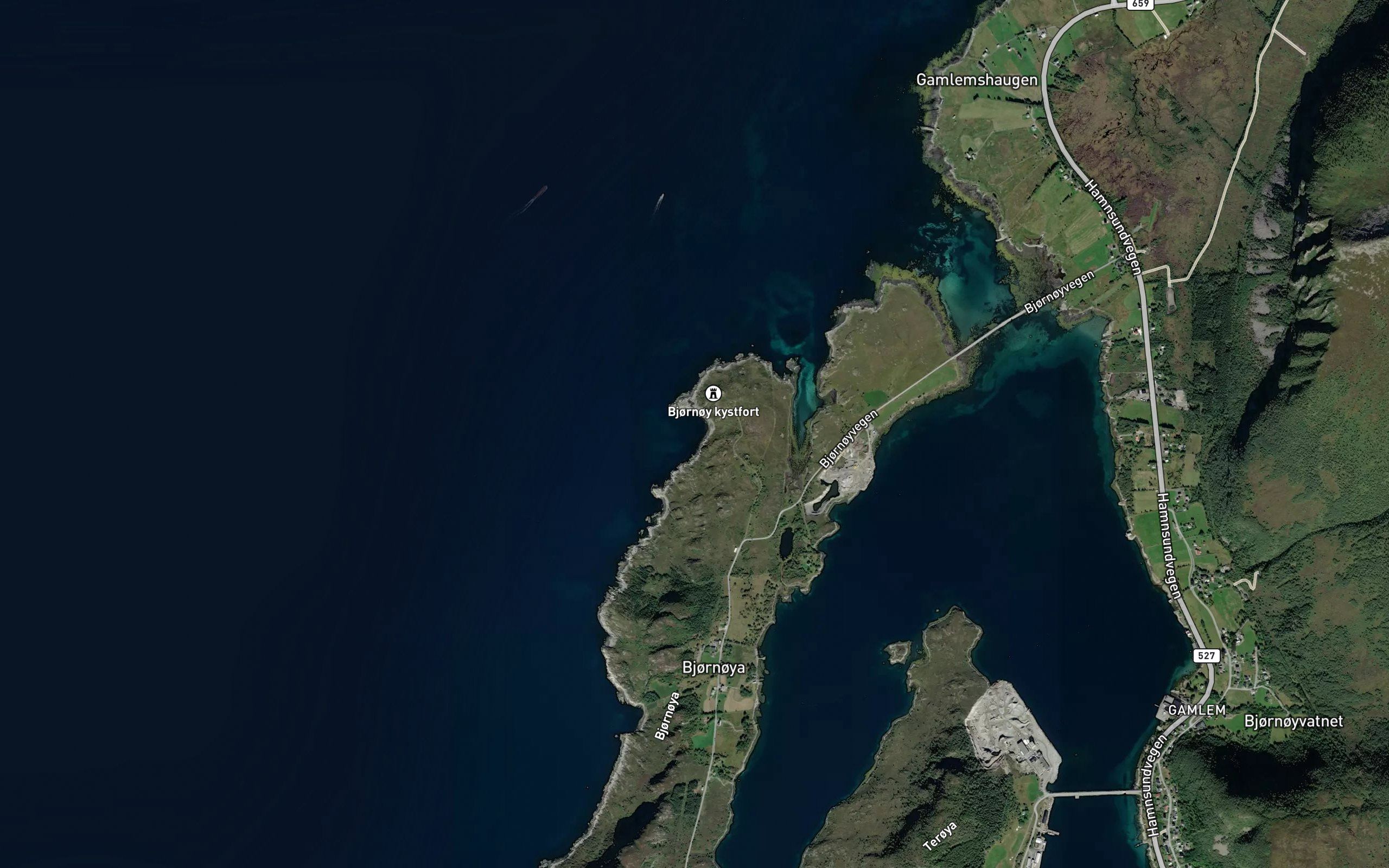 Skarvenesvika