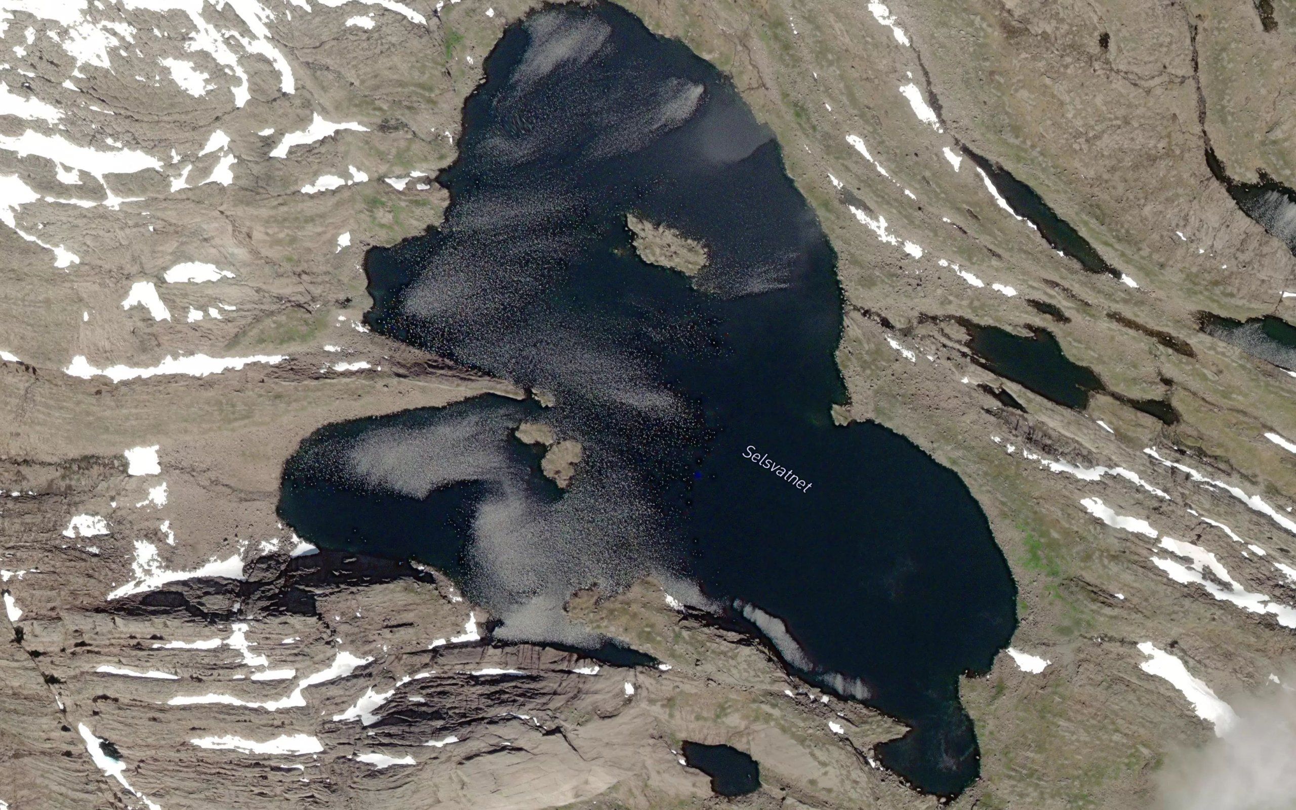 Selsvatnet