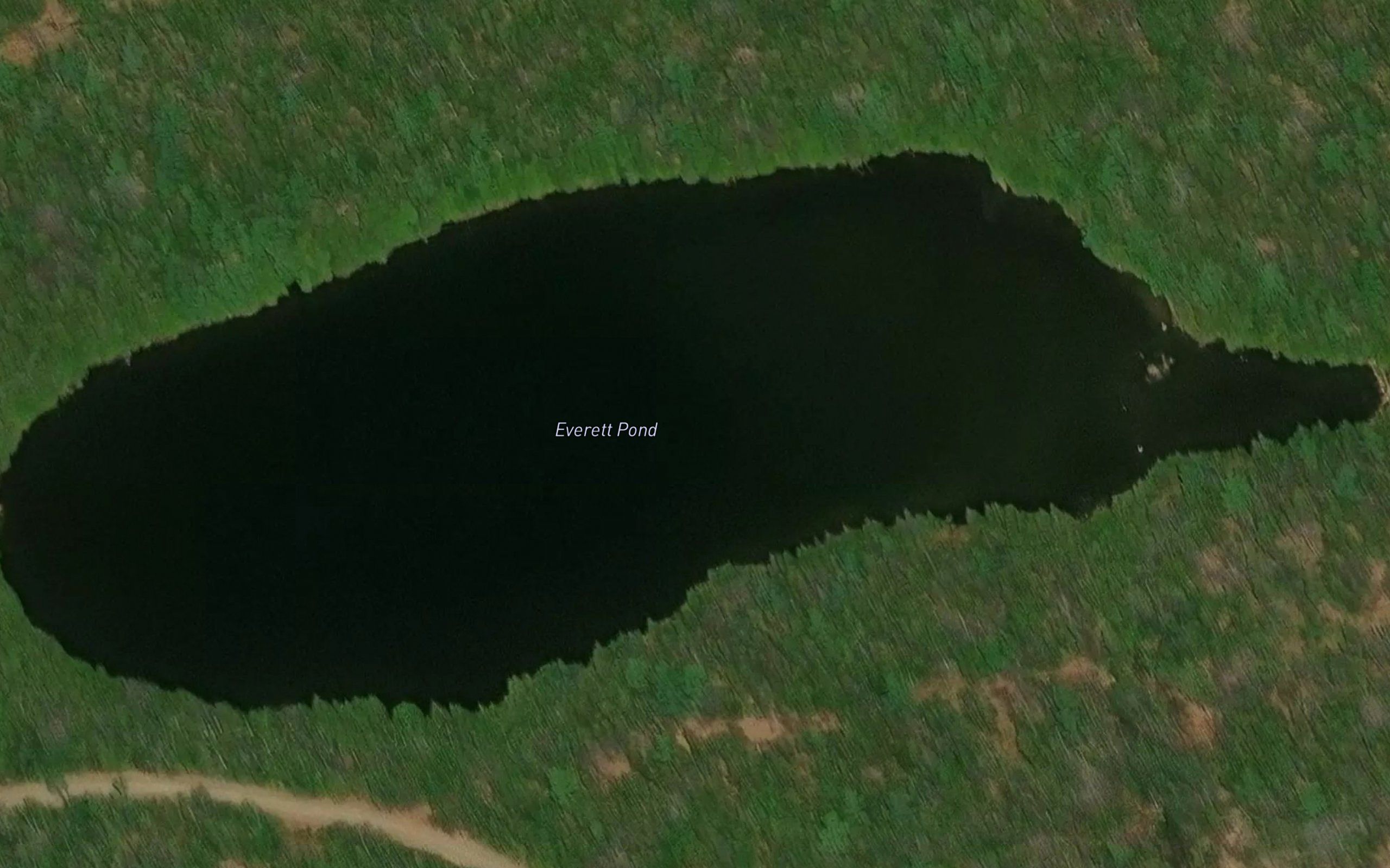 Everett Pond