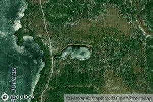 Lac Vicia