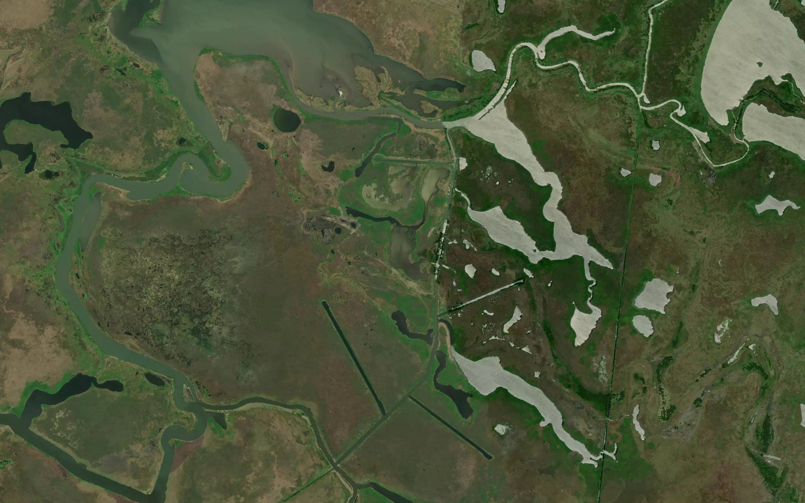 Laguna Corcobado