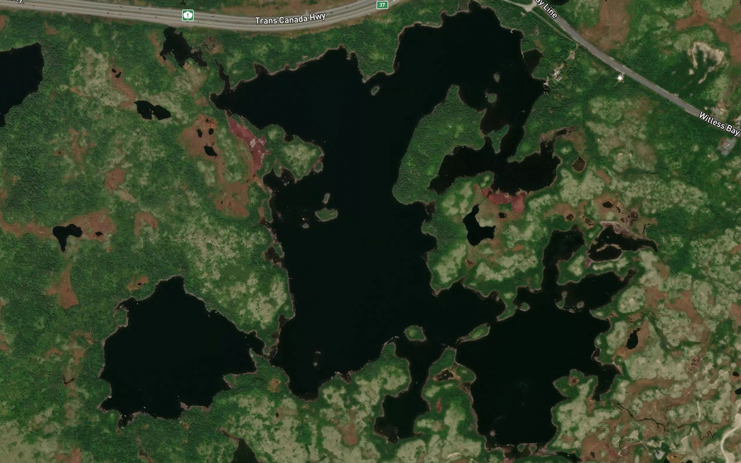 Five Mile Pond West