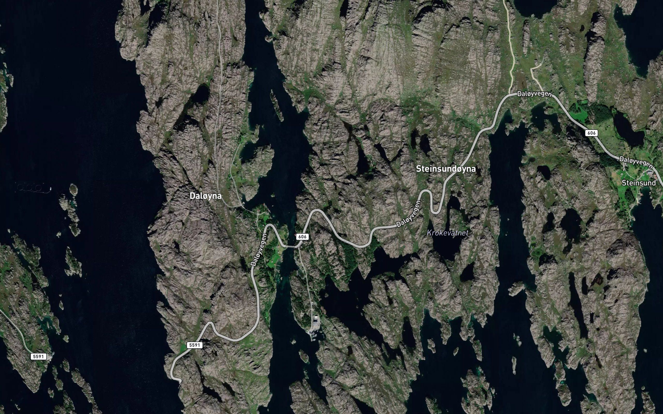 Hundeviktjornane