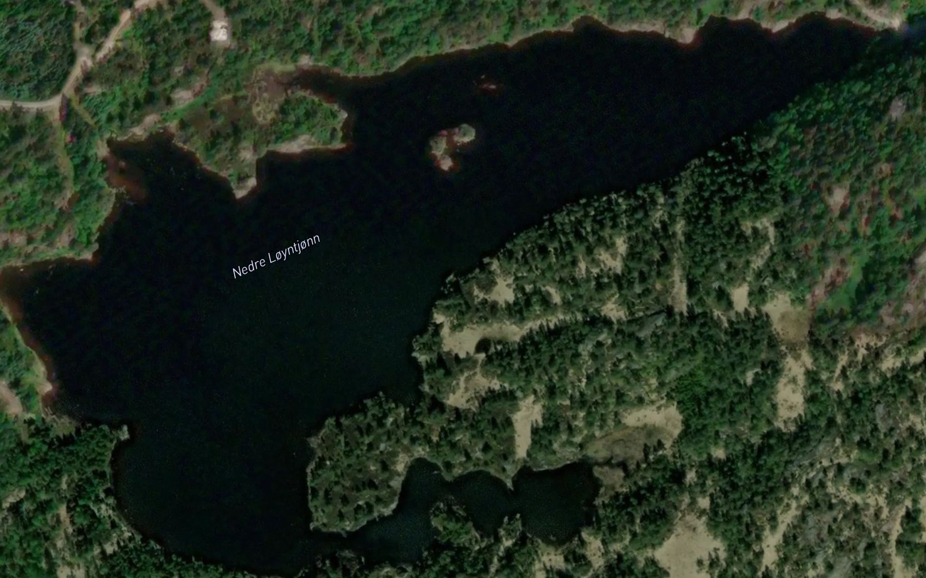 Satellite map of the Nedre Loyntjonn
