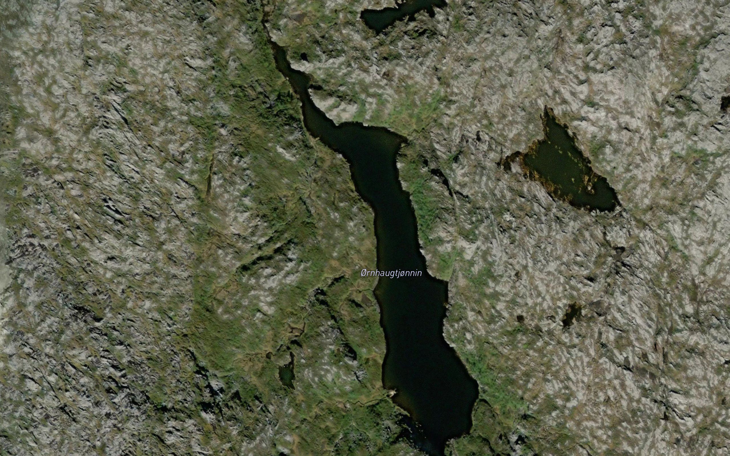 Ornhaugtjornin