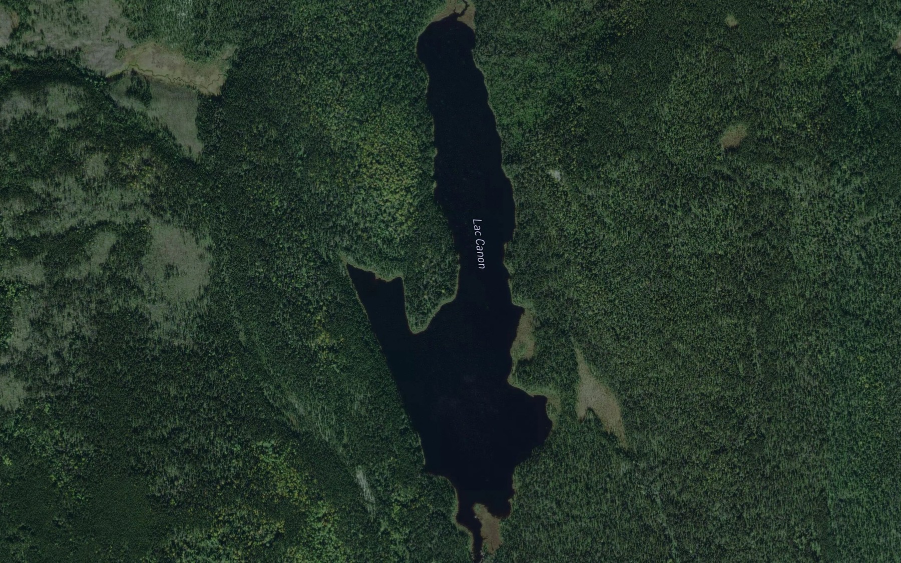 Satellite map of the Lac Canon