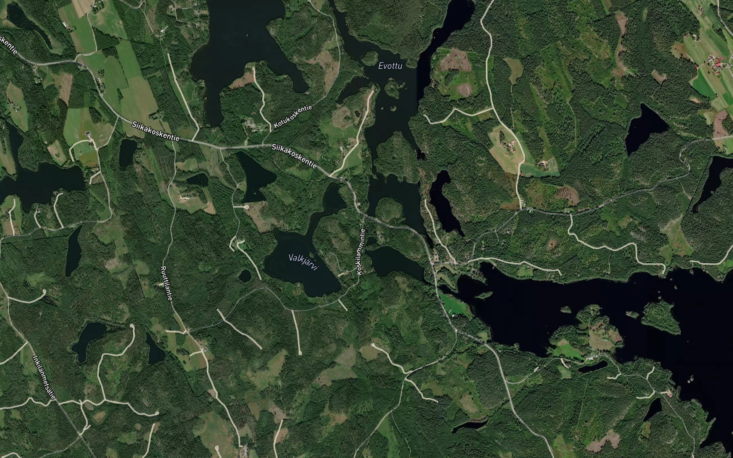 Ravykoski