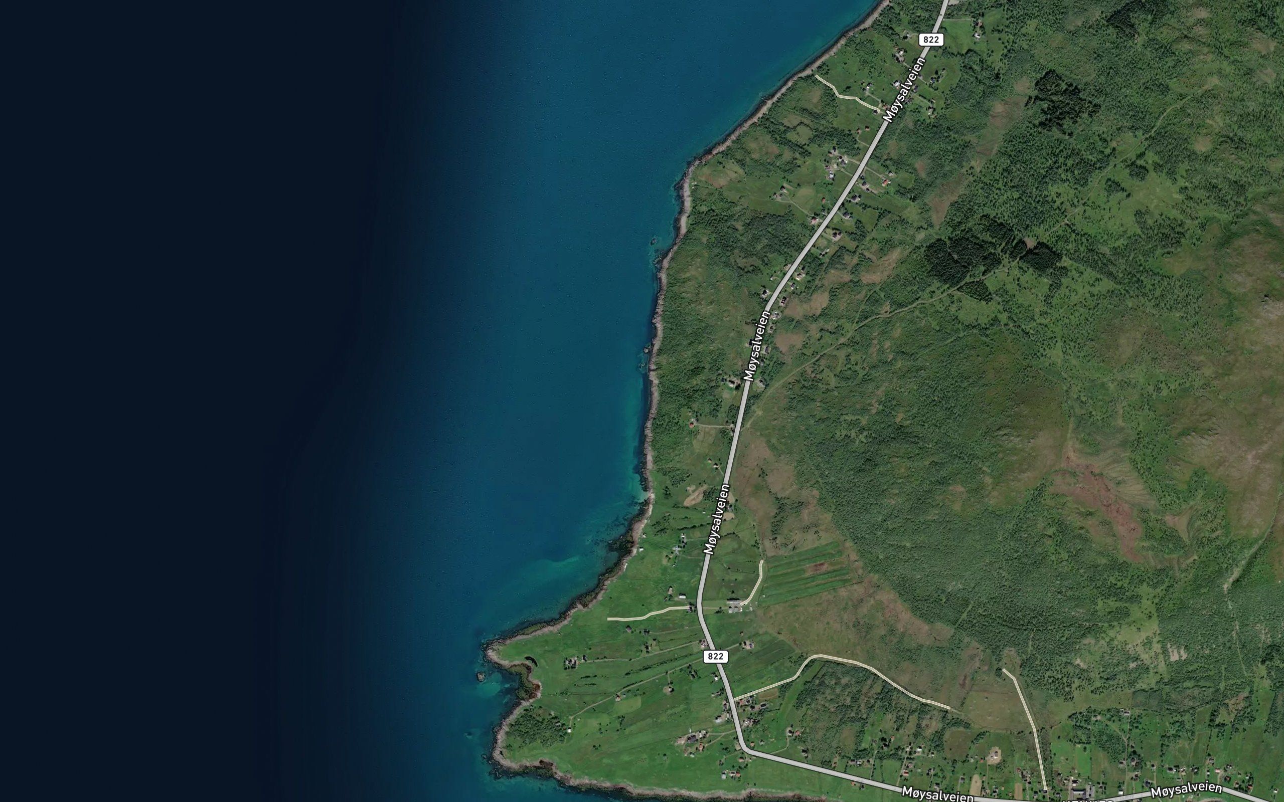 Kjempvika