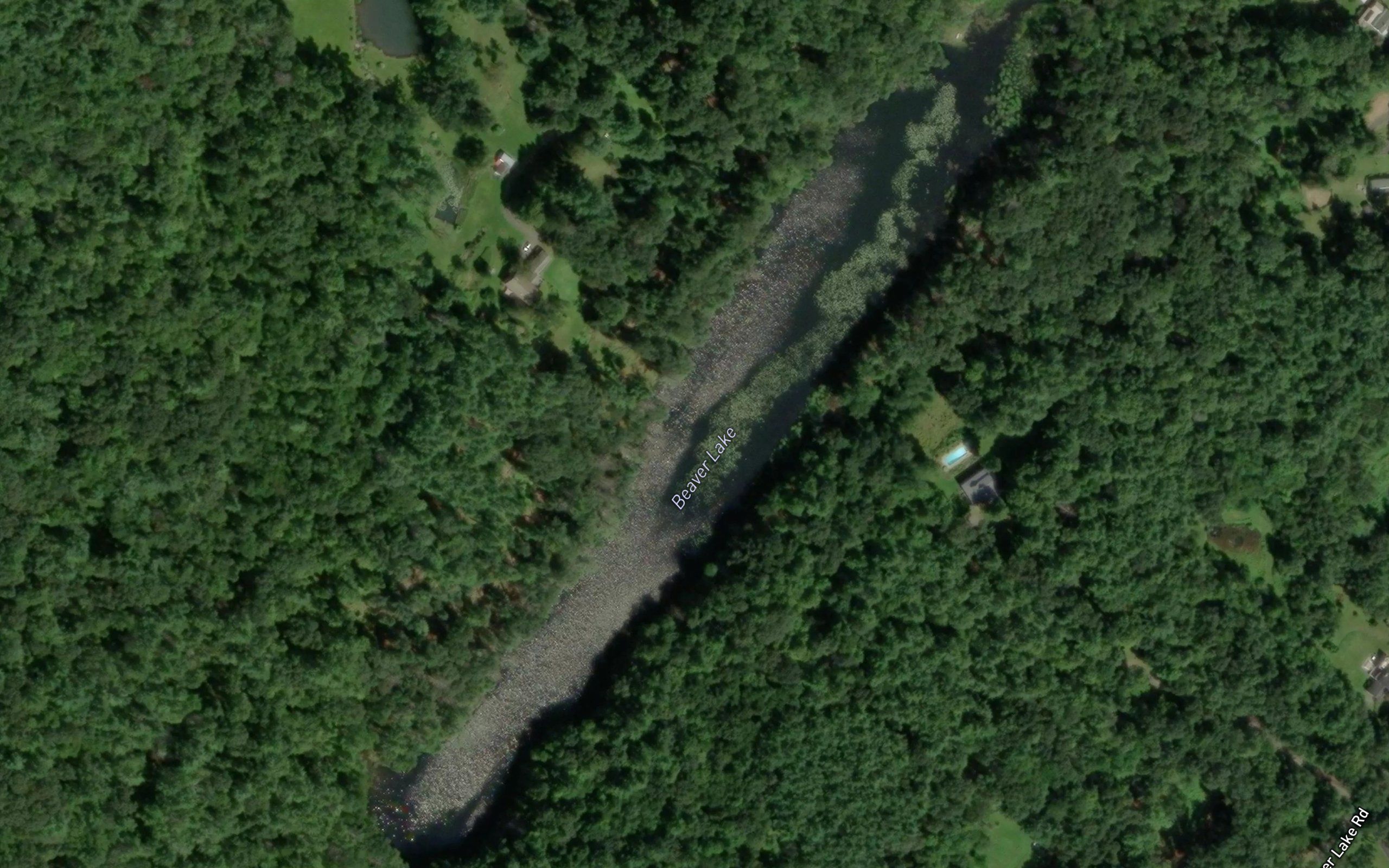 Beaver Lake
