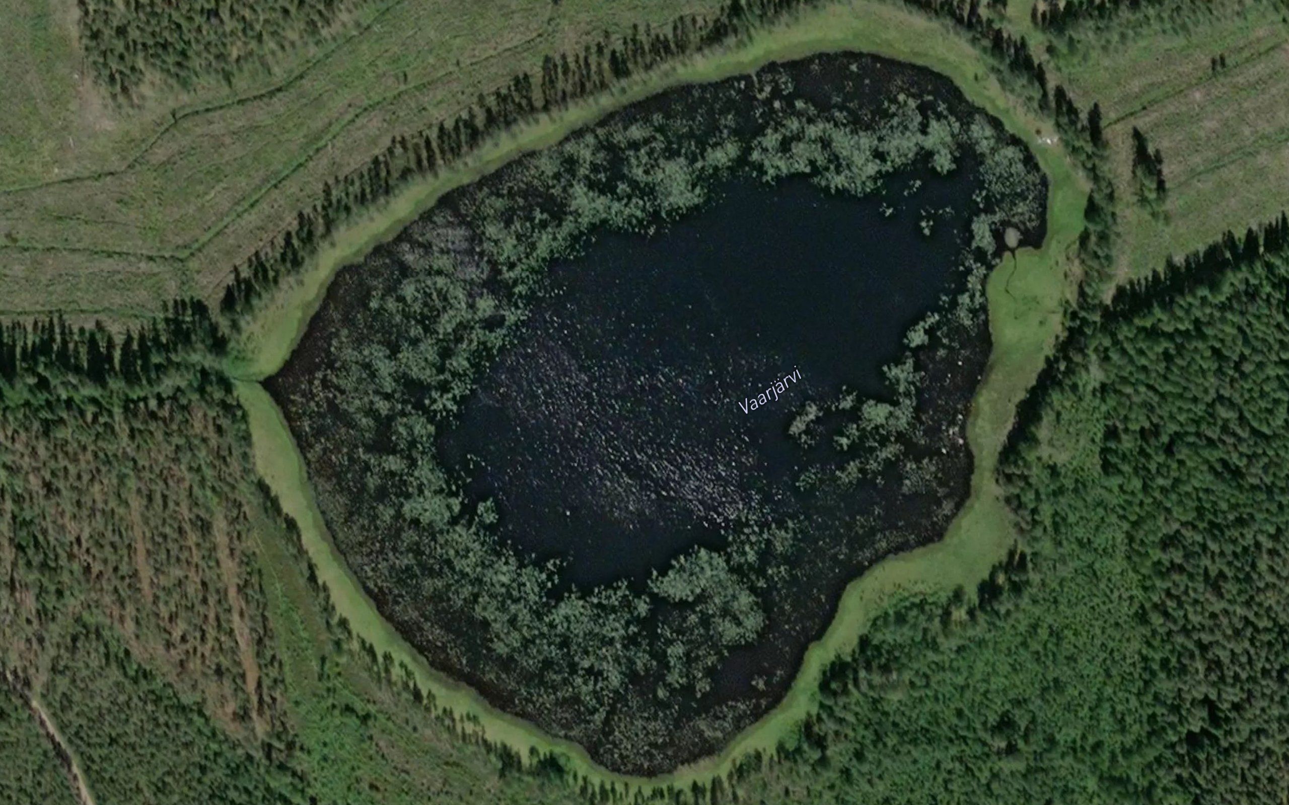 Vaarjarvi