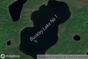 Buckley Lake Number One
