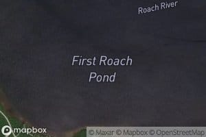 First Roach Pond