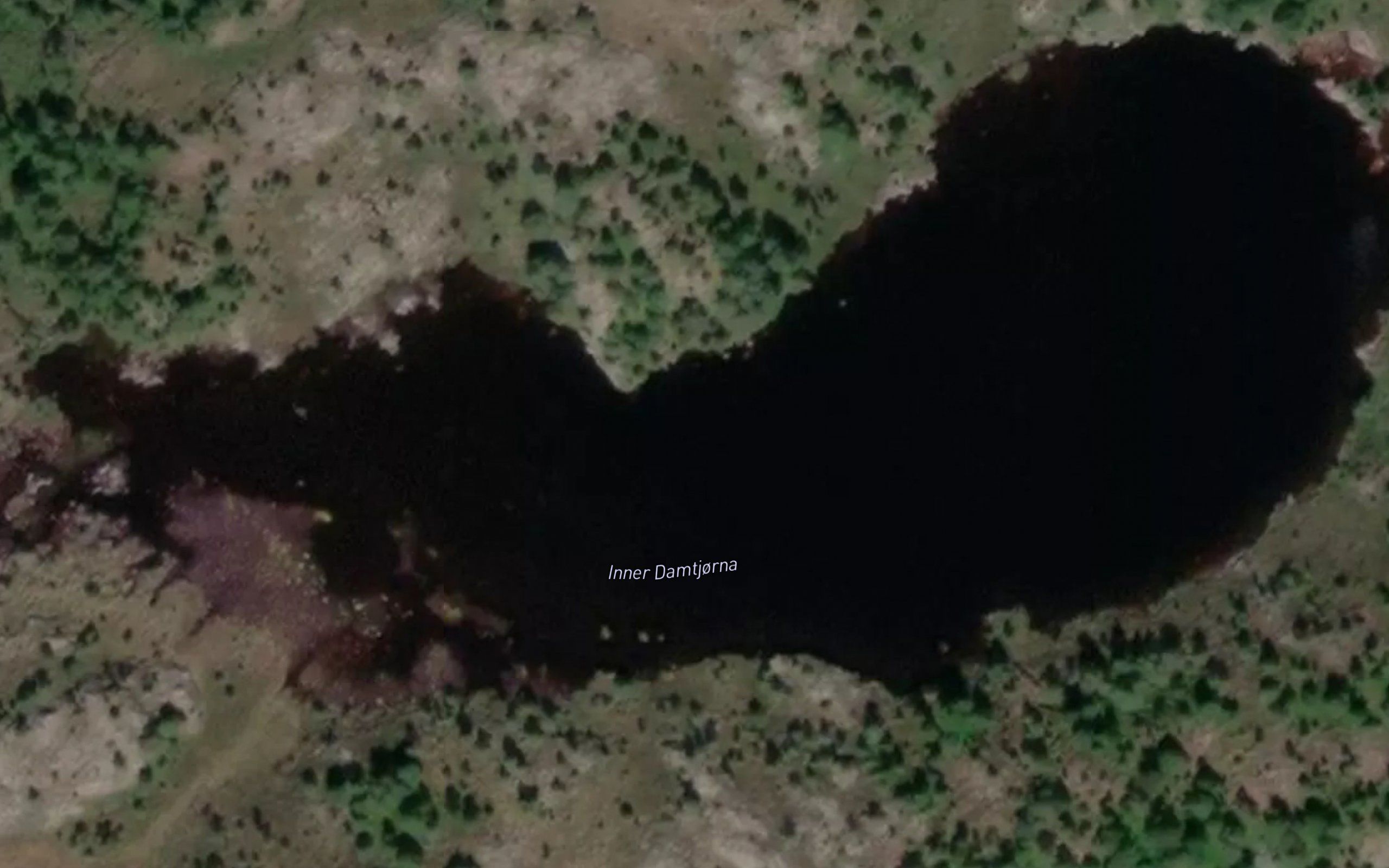 Damtjornan