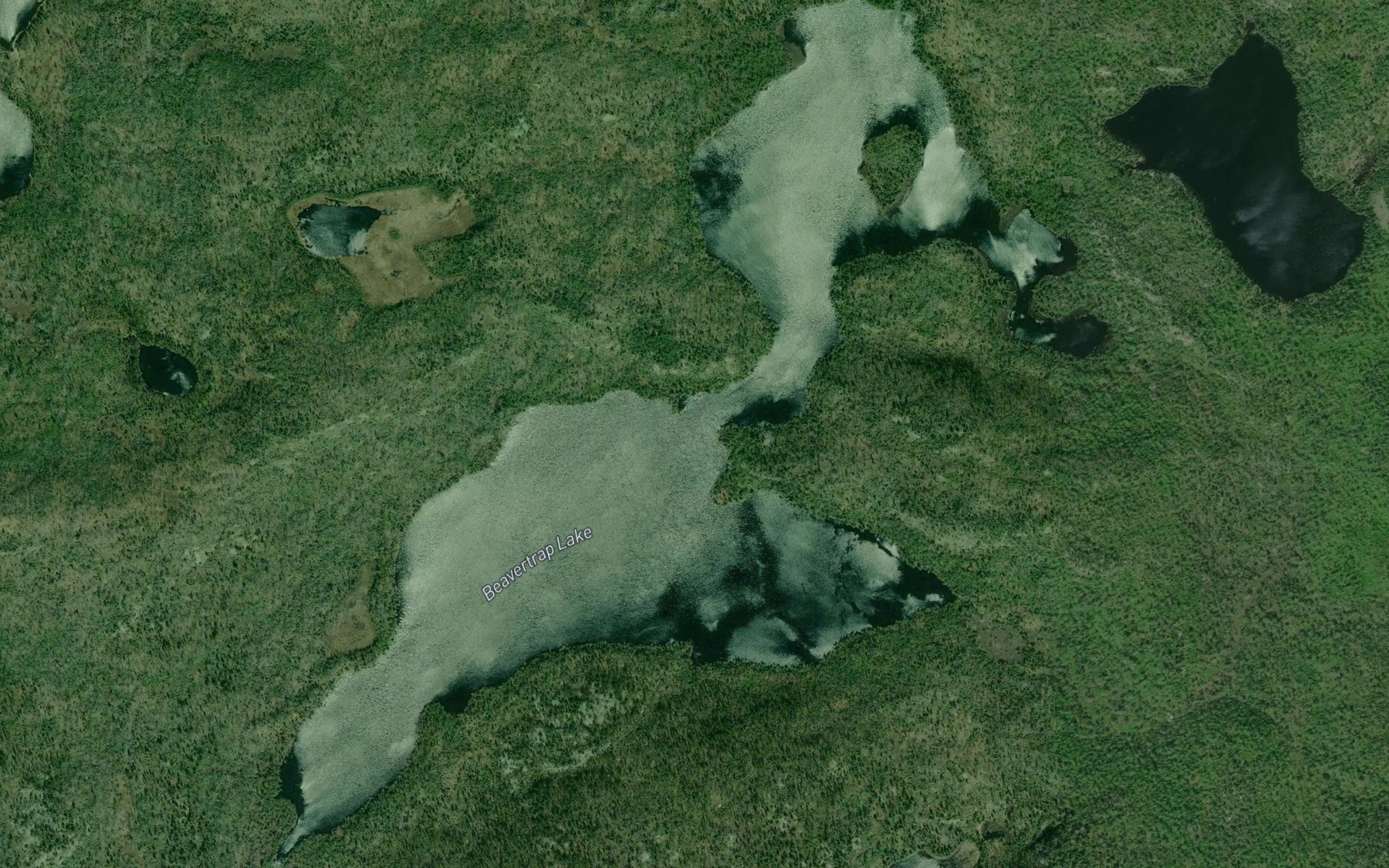 Satellite map of the Beavertrap Lake